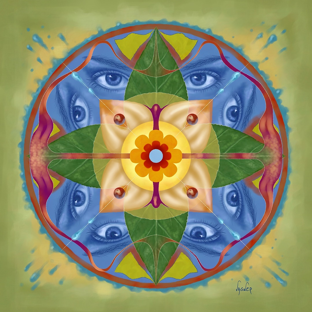 Symmetric Vision